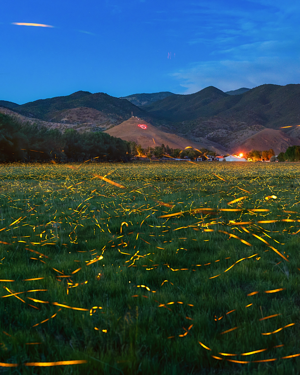 Fireflies in Salida